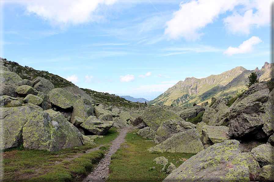 foto Forcella di Montalon